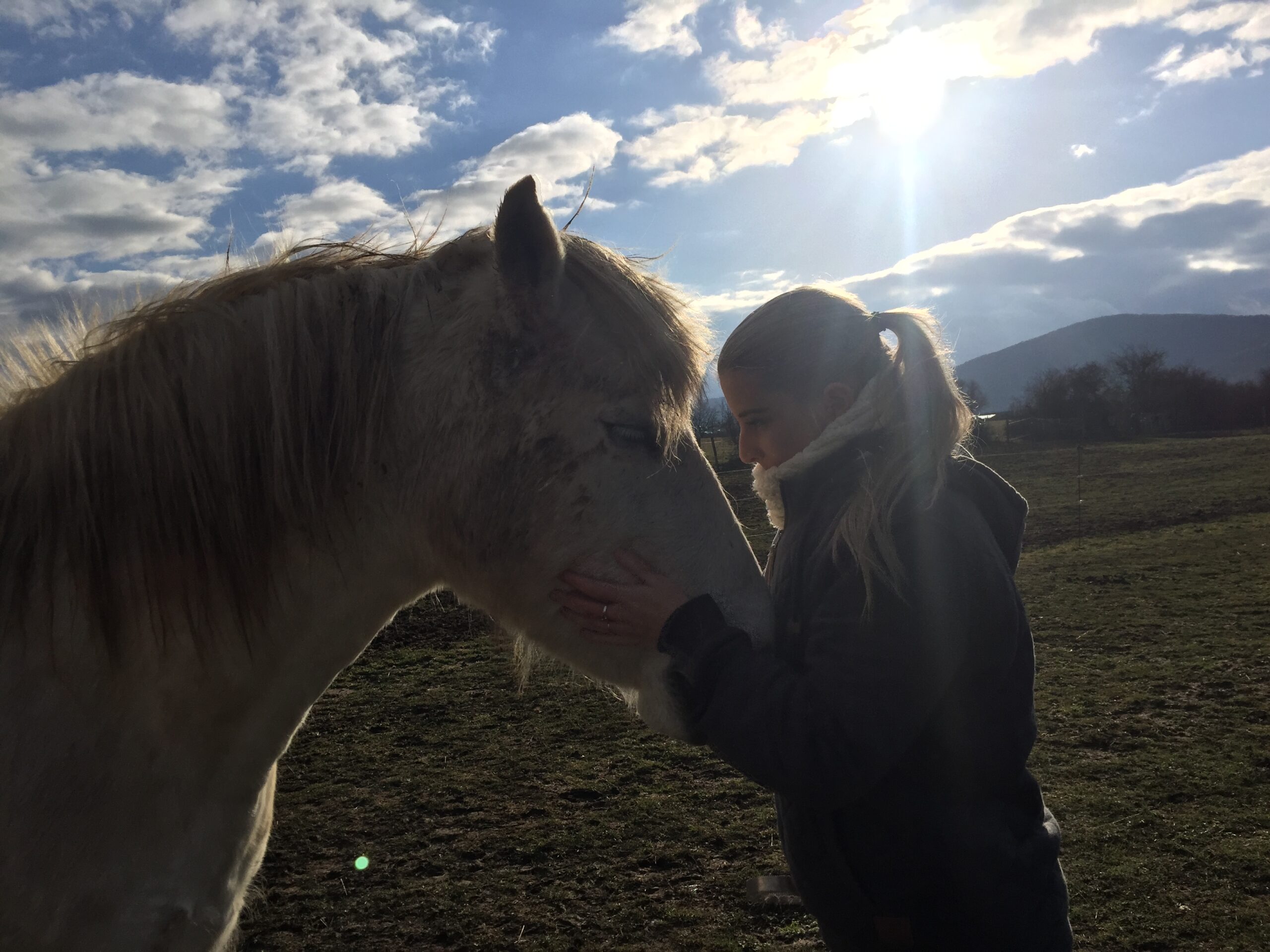 nous allons savoir ce que l’animal pense réellement, ce qu’il vit et ce qu’il ressent.